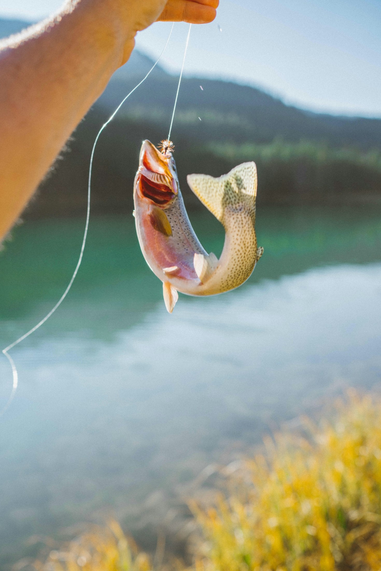 10 Easy Tips to Catch More Fish This Season