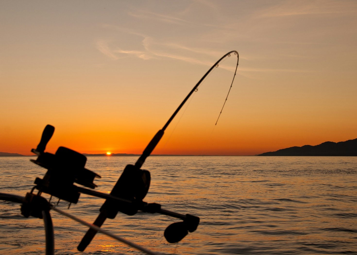 The Beginner’s Guide to Fishing Success